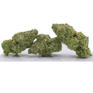 Alternative view of Money Maker 3.5G Indica