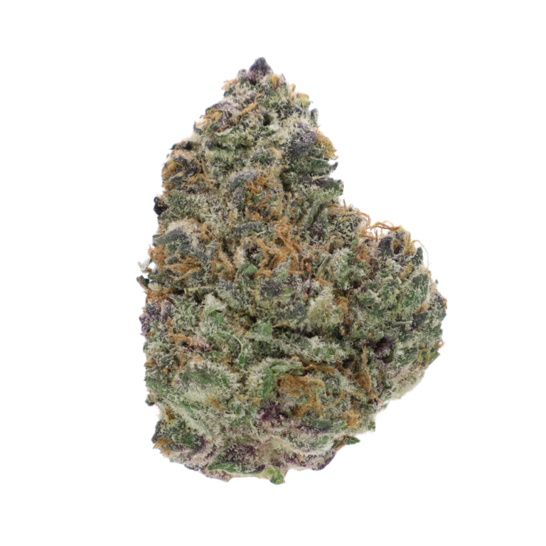 Gelato 41 3.5G Indica