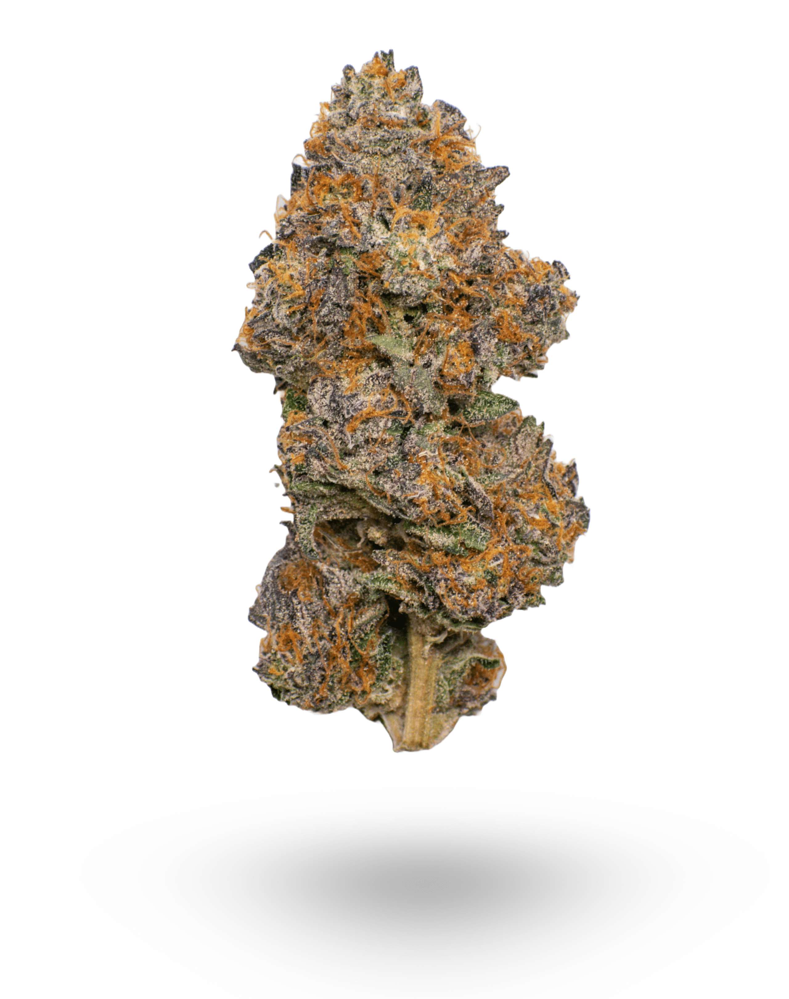 AAAA  lava cake by Jungle Boys