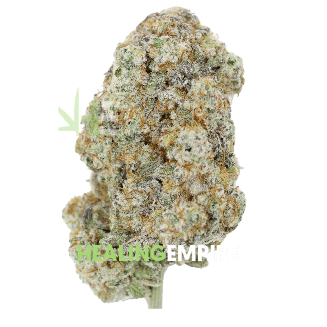 AAAA Gary Payton by Cookies