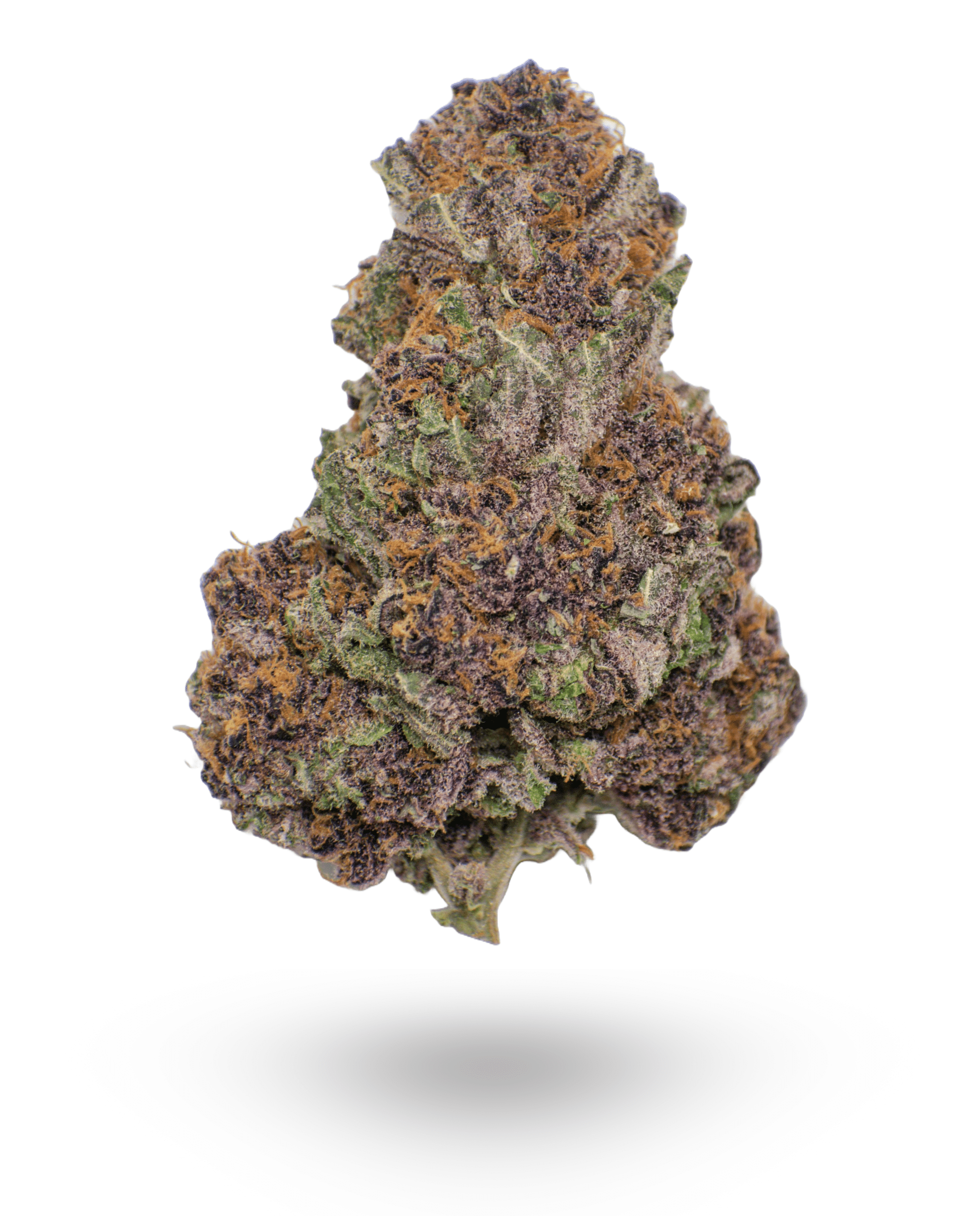 AAAA Amethyst By Kootney Exotics