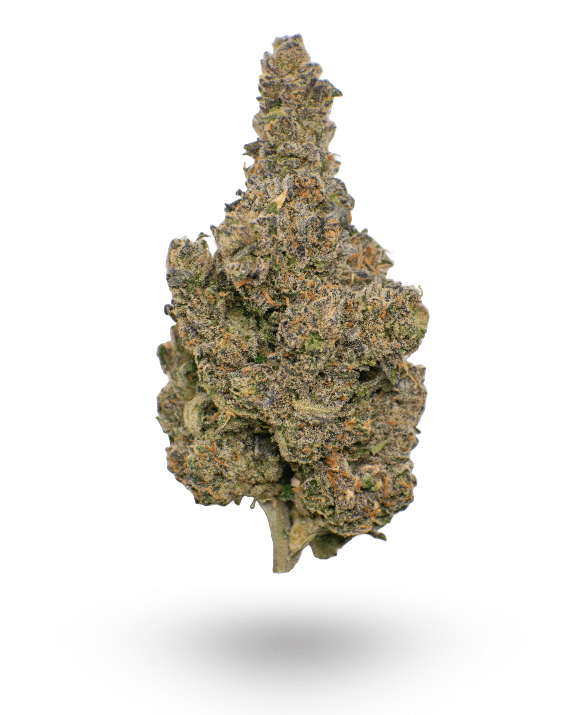 🏆 #1 Karma Cup: AAAA Purple Gusher