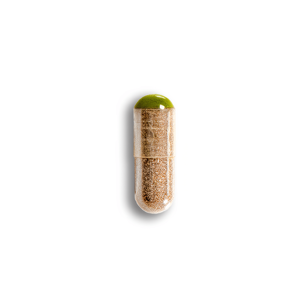 el micro - The Micro 125mg x 30 Capsules - Image 2