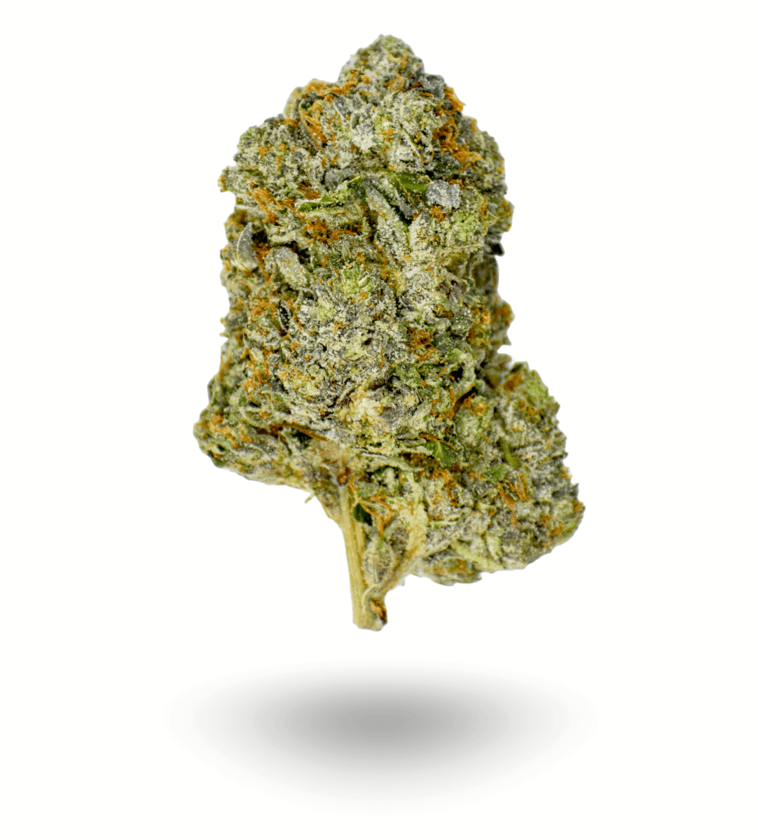 🏆 Cannabis Cup: AAAA GAZ