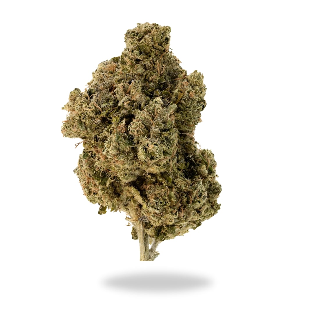 AAA Miracle Alien Cookies - Black Friday