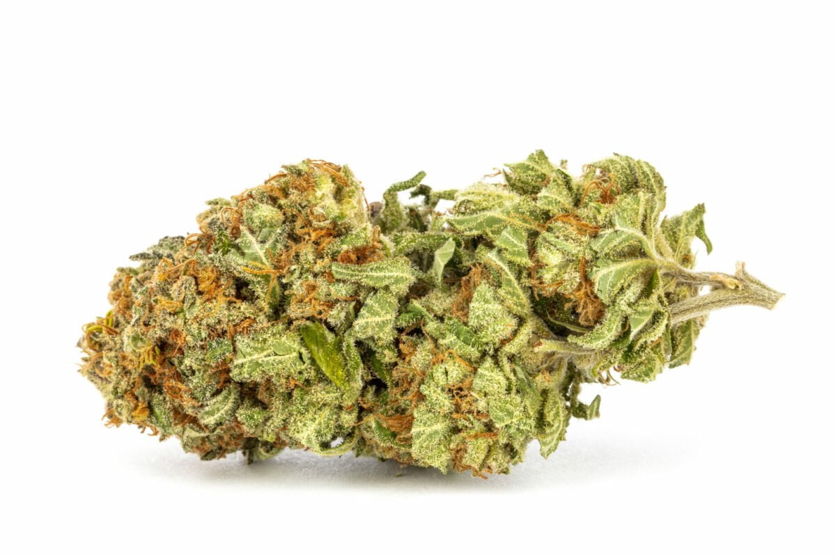 420 Carat 1:1 – THC:CBD