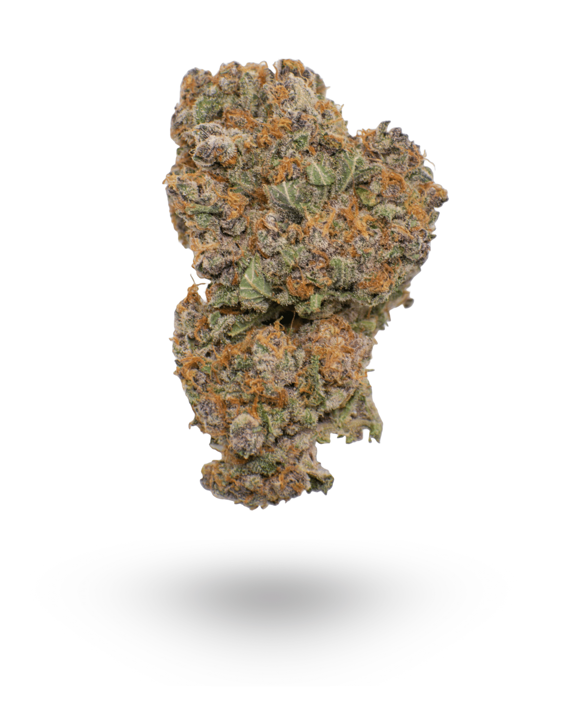 AAAA Beach Crasher By: Jungle Boys