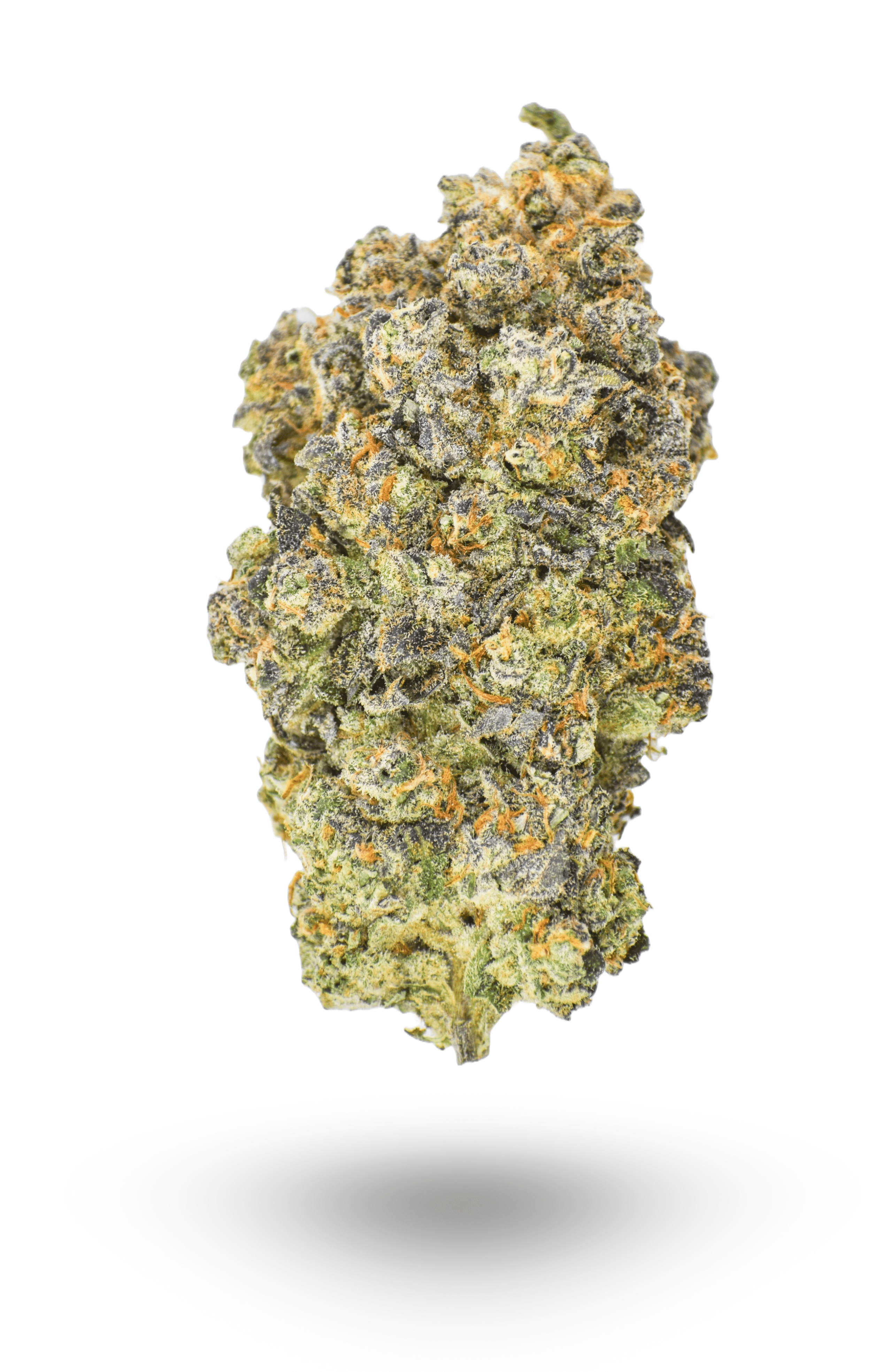 🏆 #1 Unicorn Cup: AAAA E85 By Grandiflora