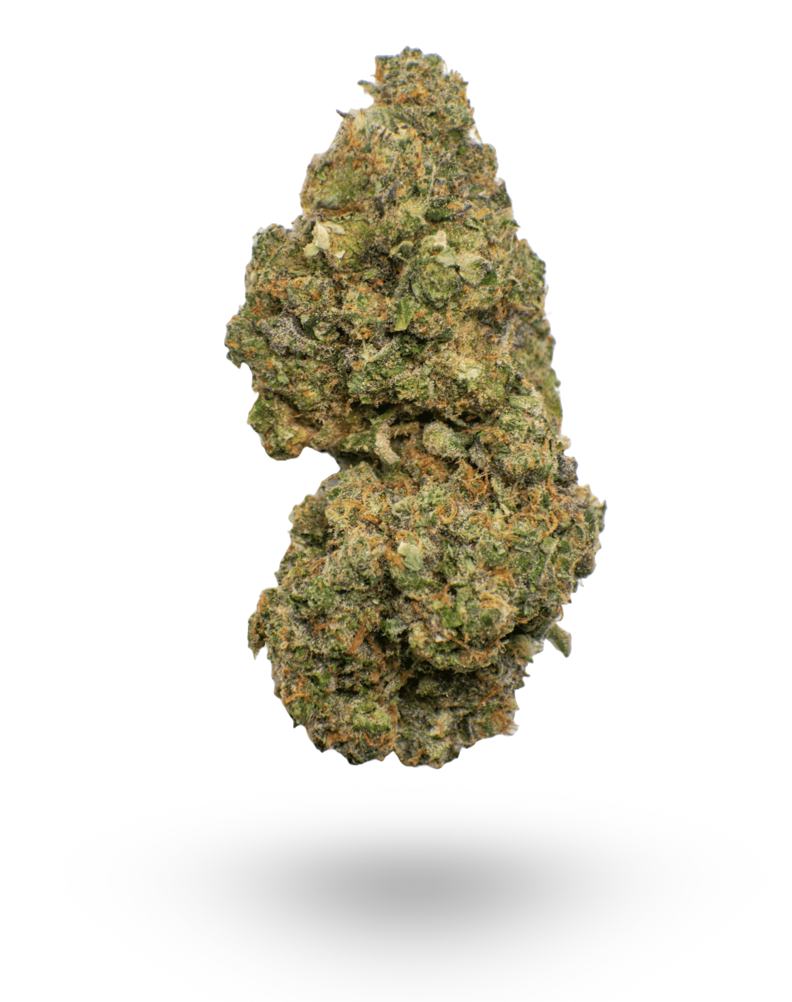 AAAA COOKIES BY COOKIES