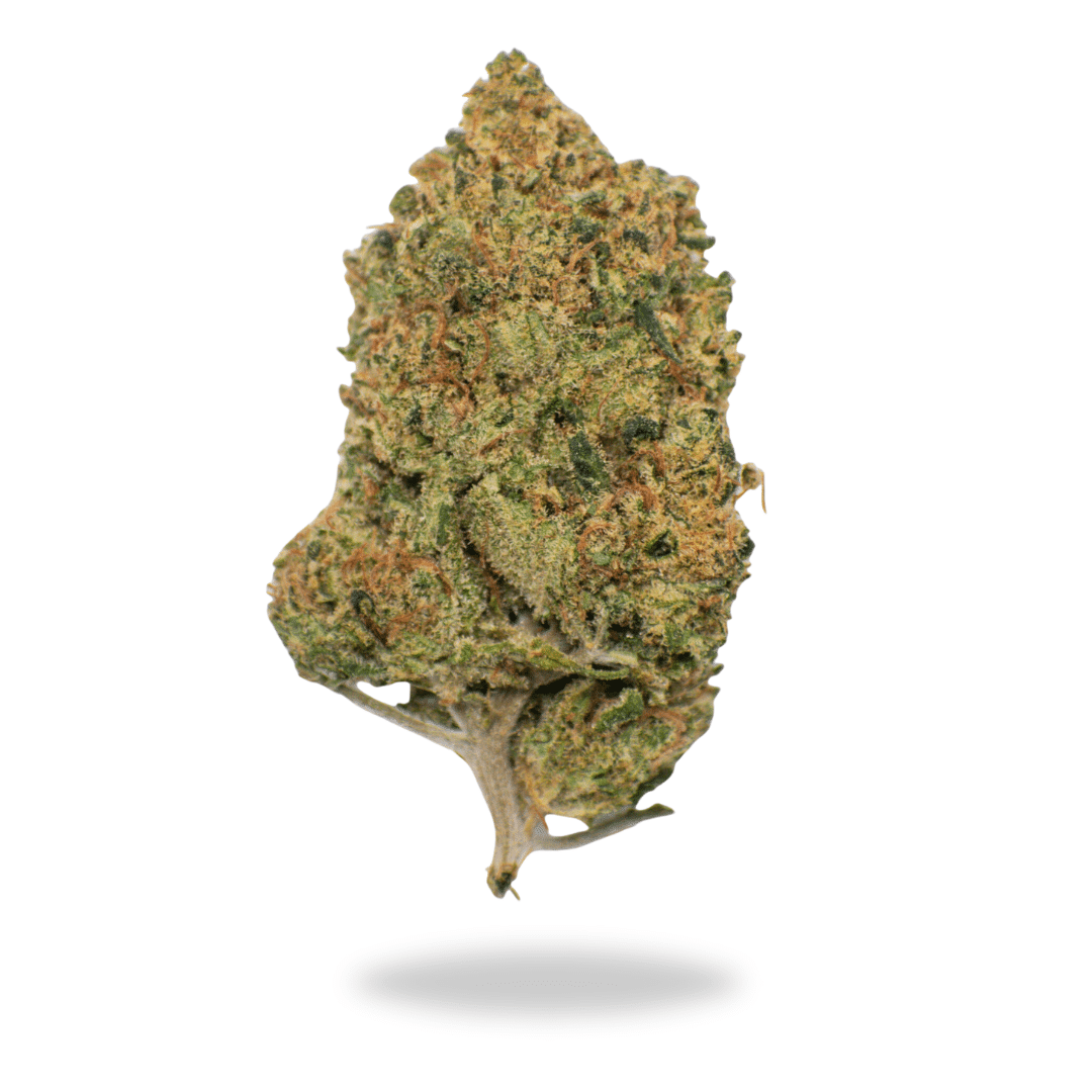 AAA Mike Tyson - Black Friday Deal