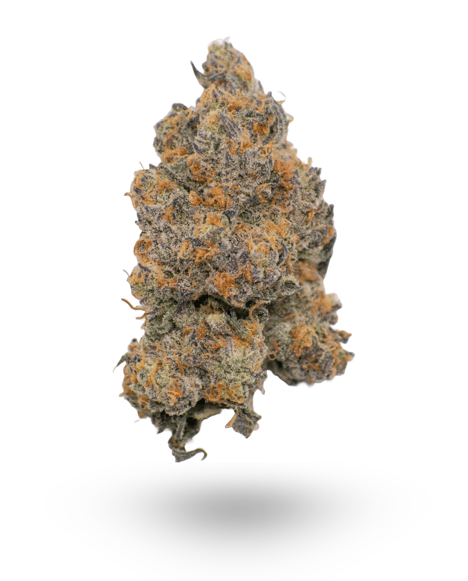 🏆#1 Karma Cup: AAAA Cherry AK 47 By Paradise Exotic Quads ☀️