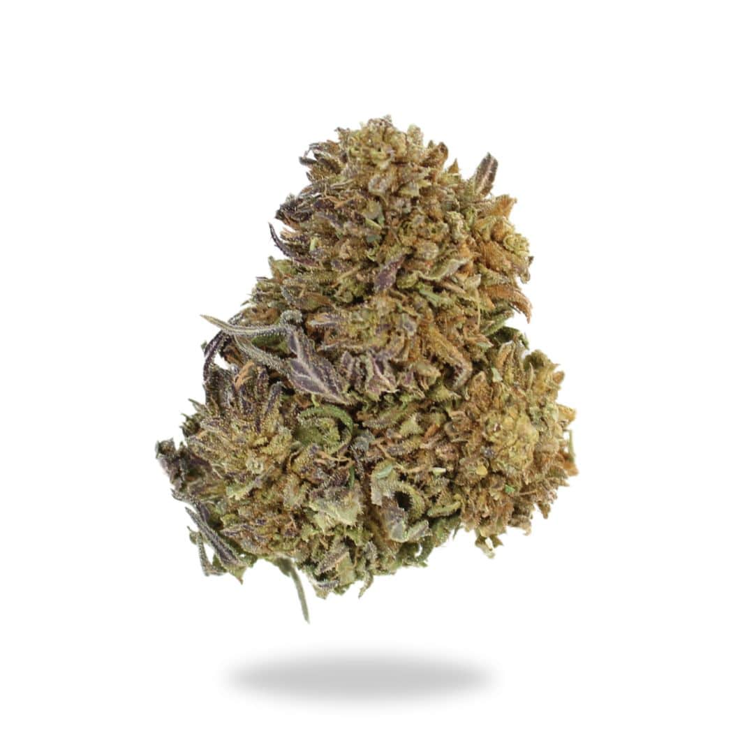 Gram & 1-2-3 Ounce Deals: A+ Ghost Train Haze – Halloween Special