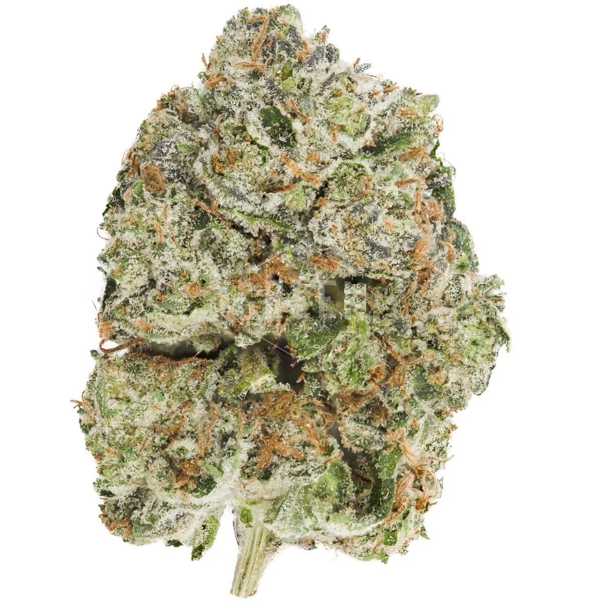 Pink Cookies (Pharm Craft Co)