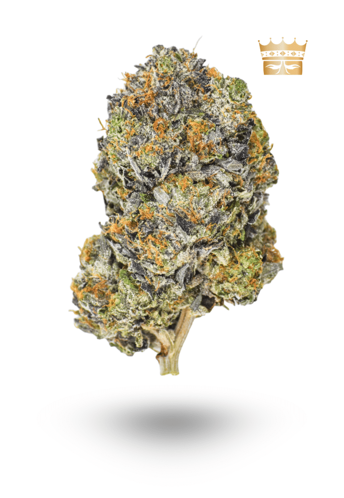 AAAA Mike Tyson KO by Bubba Kings