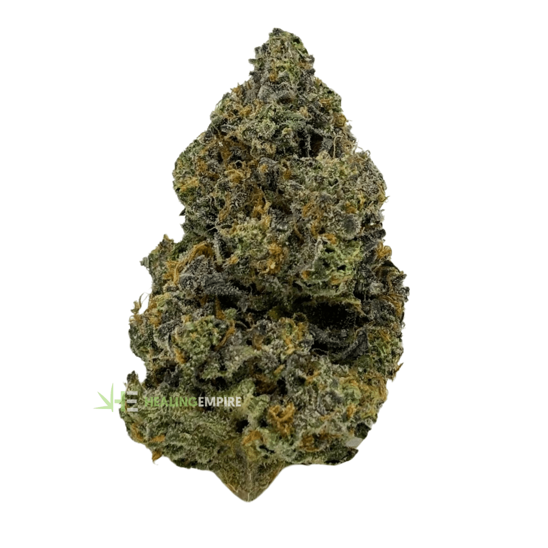 AAAA Lazer Fuel ⛽️ - Kootenay Exotics