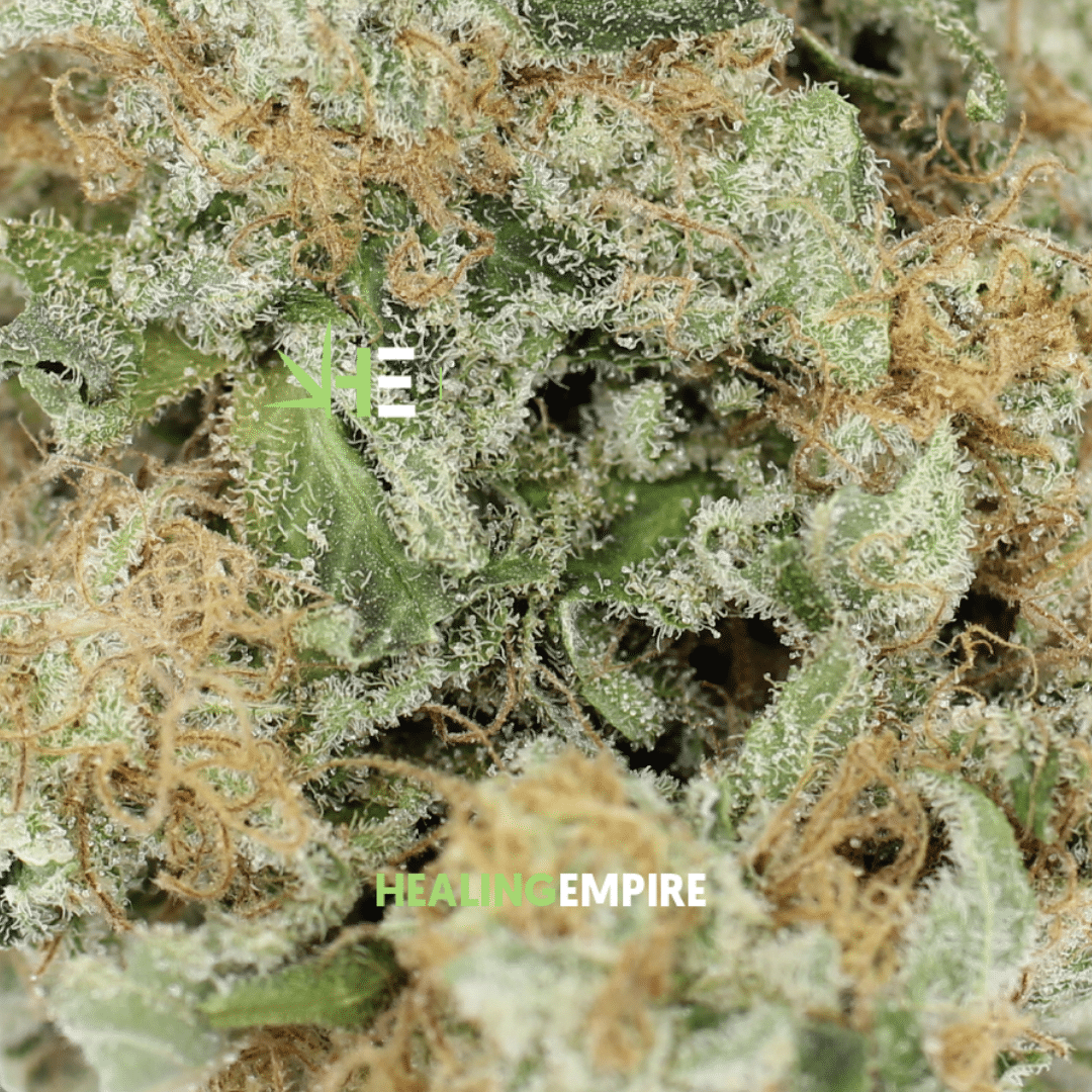 Khalifa Kush - Image 2