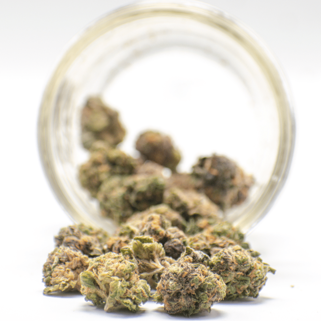 AAA Granddaddy Purple Smalls