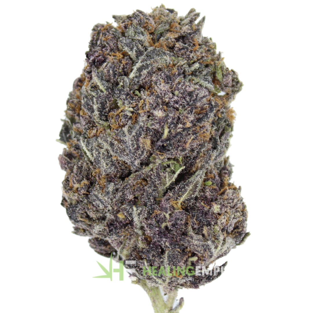 AAAA Gas Daddy By kooteny Exotics