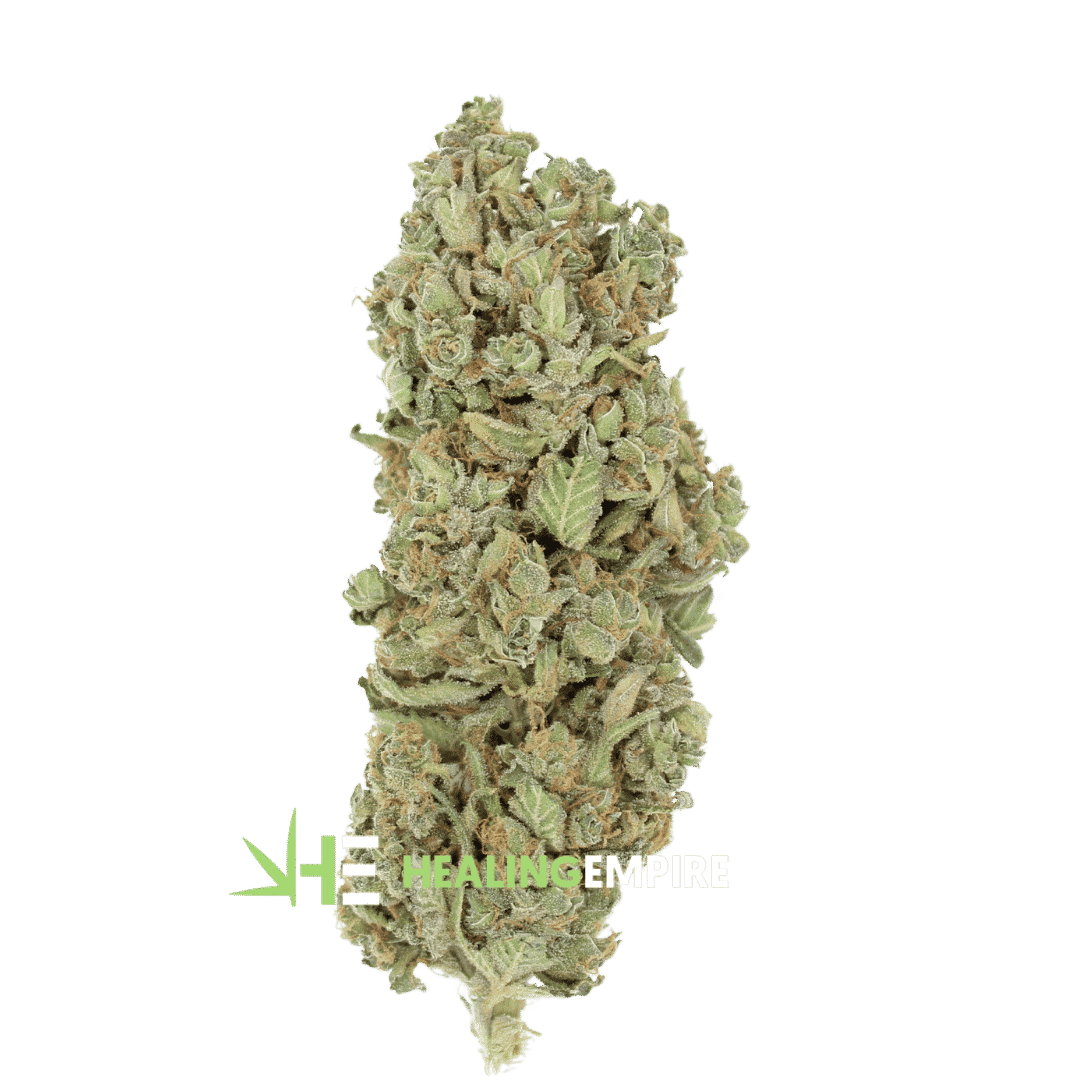 A Black Ice - By Green House