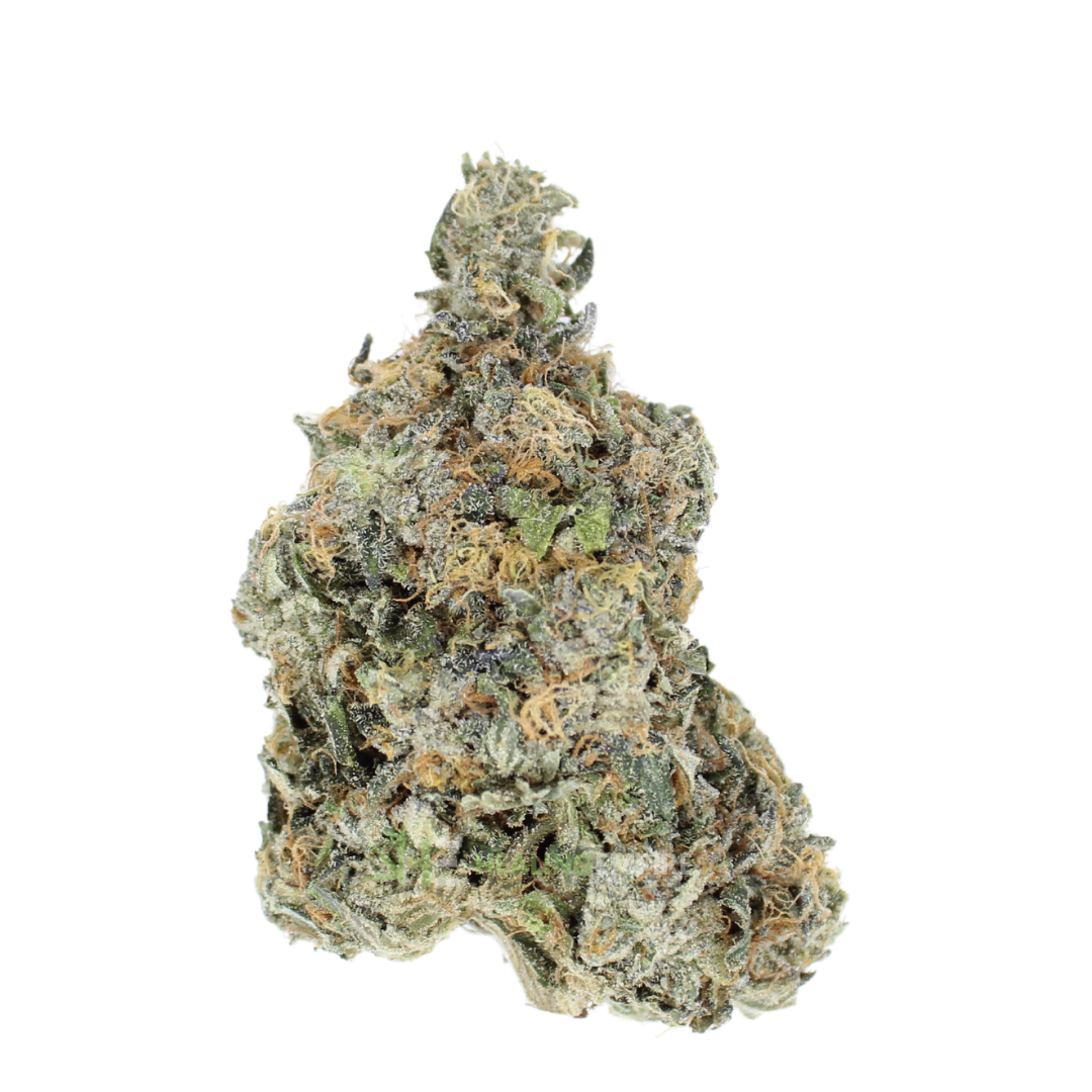 AAAA Death Star By Kootney Exotics  ⛽