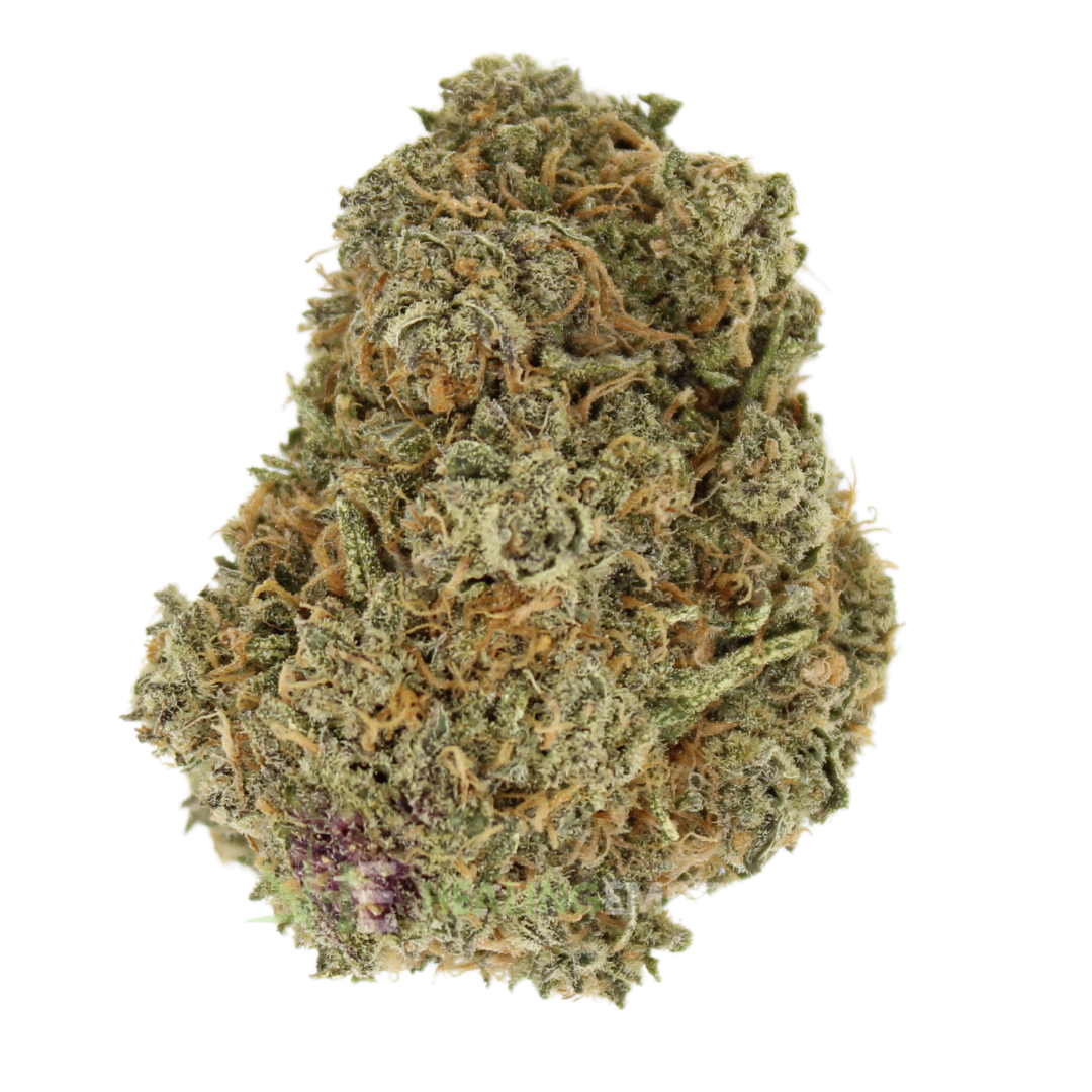 AAA Durban Pineapple