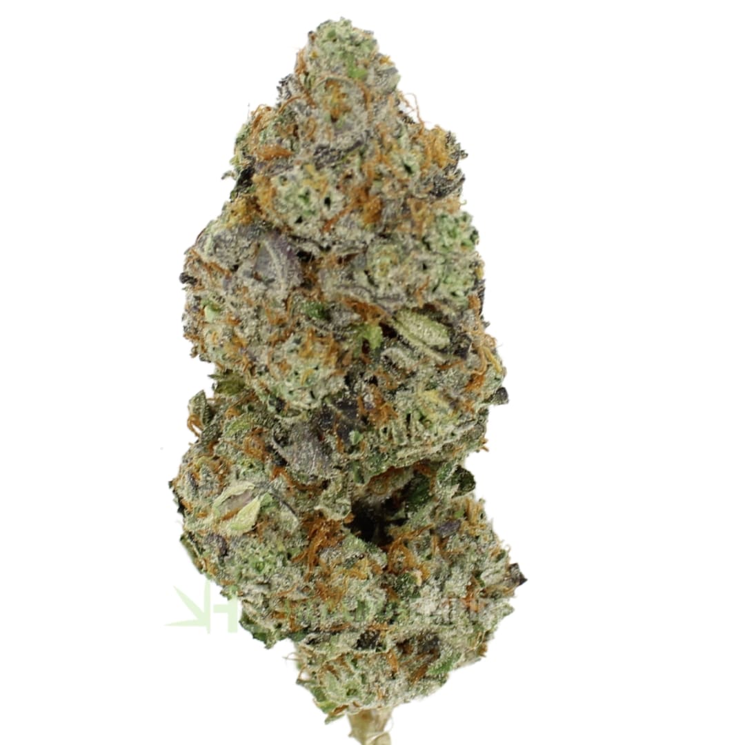 AAAA Gummiez By Paradise Exotic Quads☀️