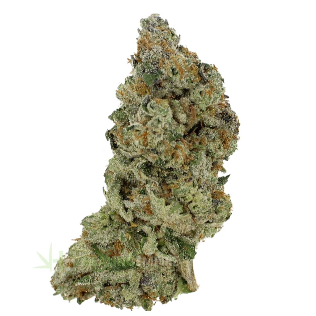 AAAA Red Velvet By Paradise Exotic Quads