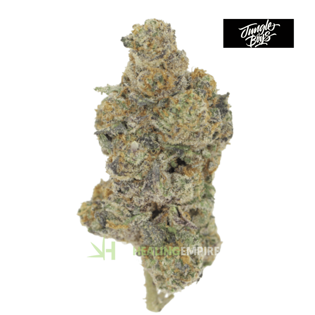 AAAA Lava cake By: Jungle Boy