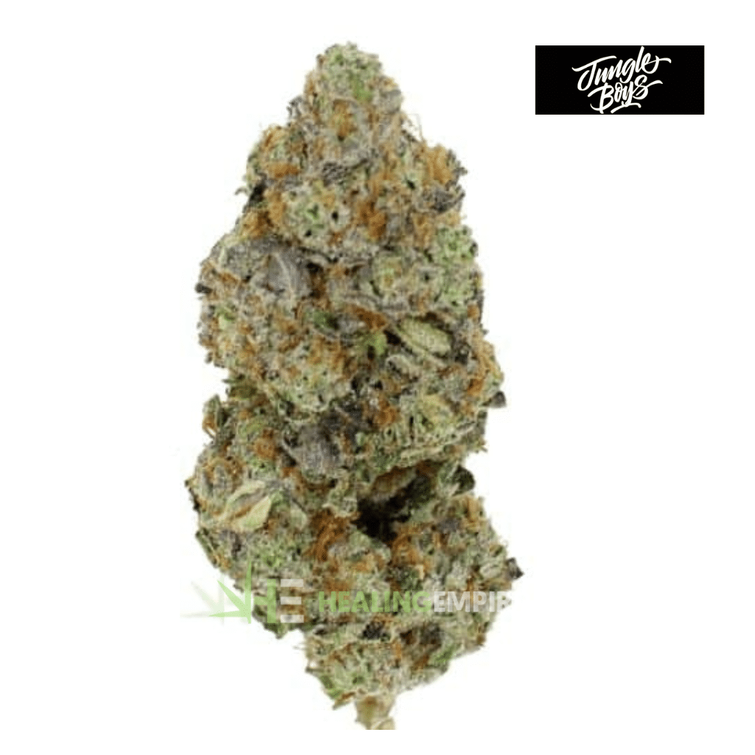 AAAA Beach Crasher By Jungle Boys