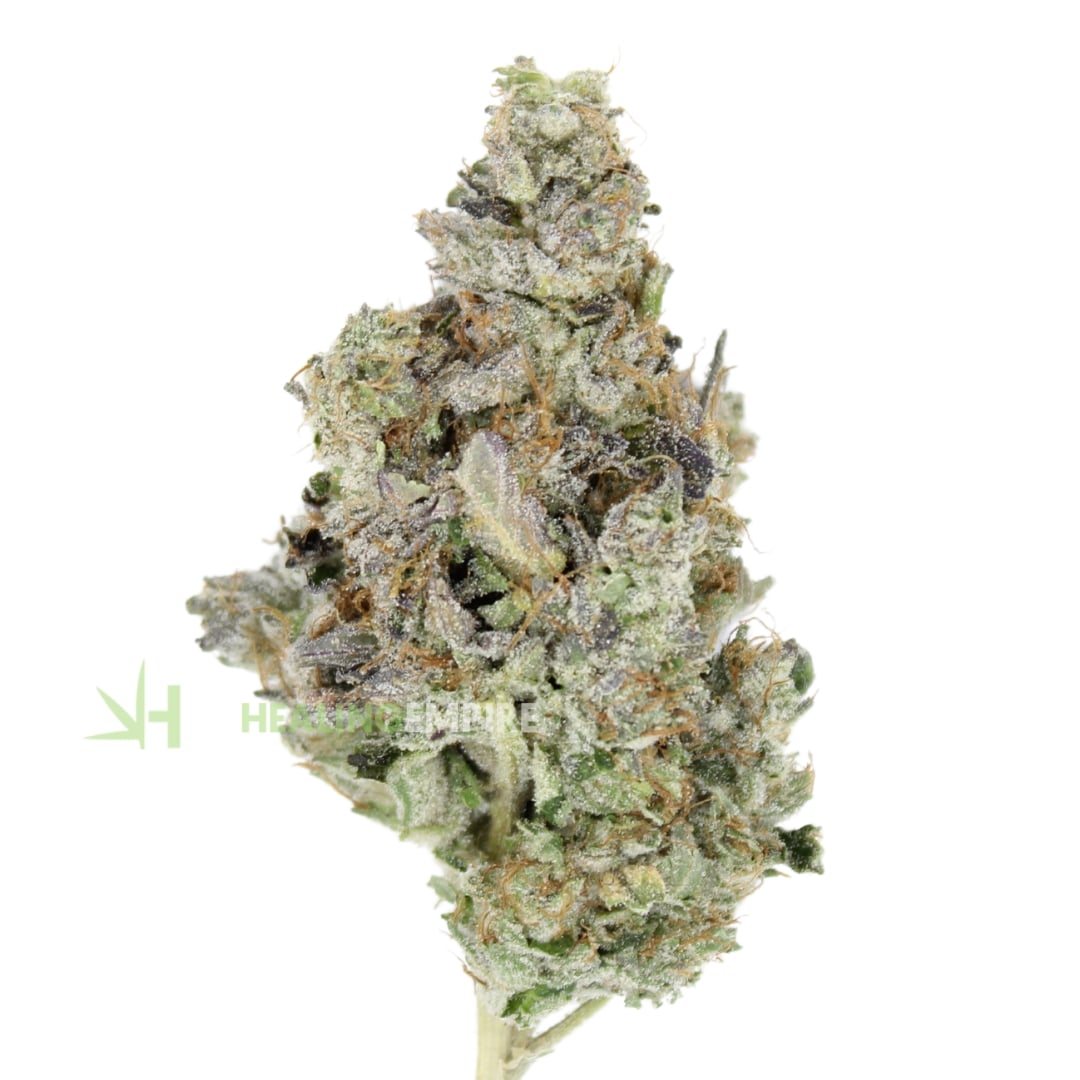 AAAA  Cactus Breath ⛽