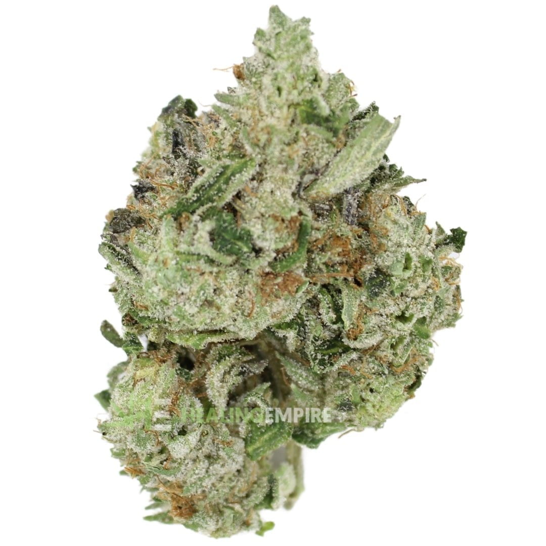 AAAA 9 Pound Hammer ⛽