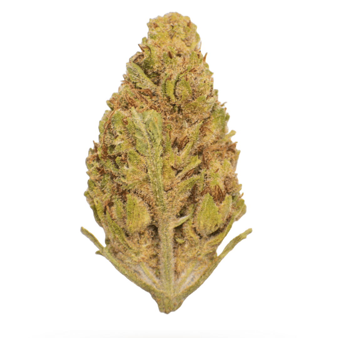 AAA Blueberry Smalls