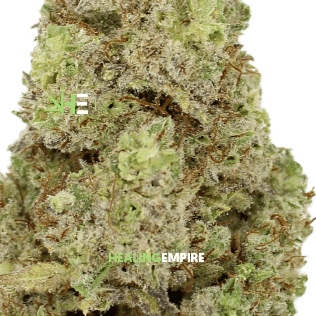 Larry OG - Image 2