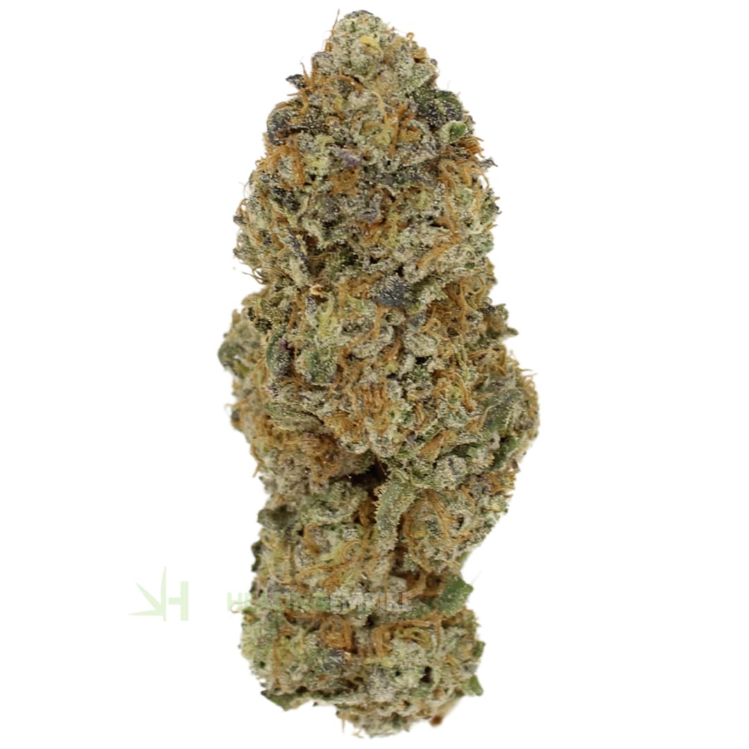 AAAA Honeypot By Kelowna Craft