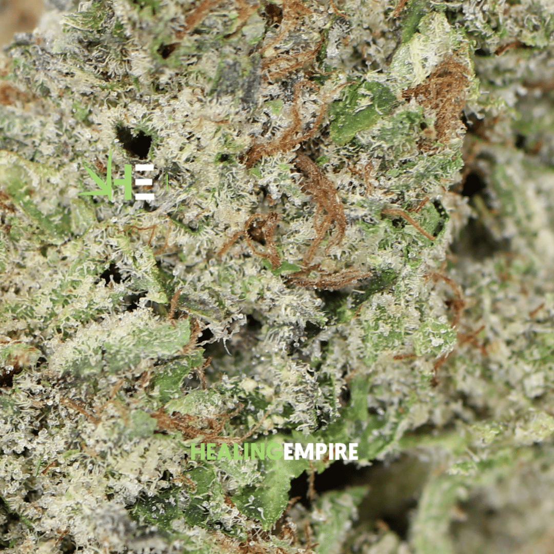 ⛽ AAA Holy Grail - Image 2