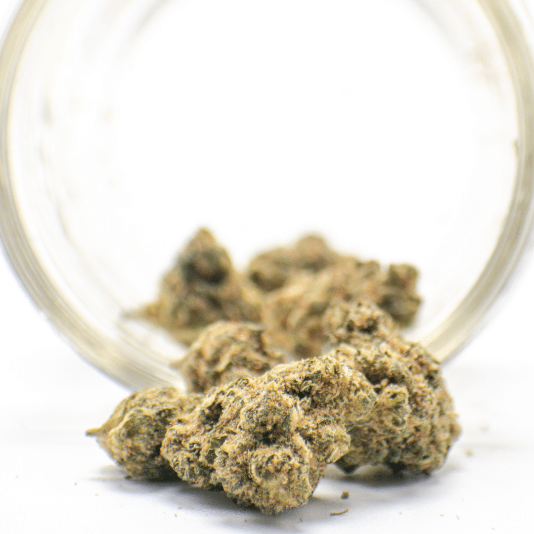 AA Powdered Donuts Popcorn