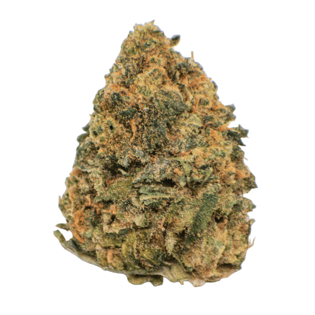 AA Purple Sun God Smalls