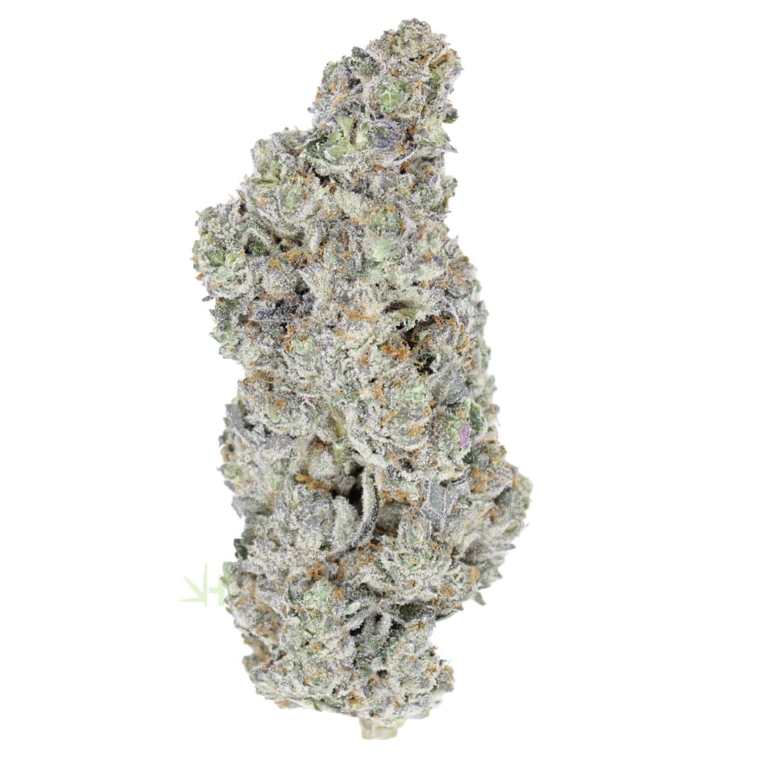 AAAA Champagne Hawaiian