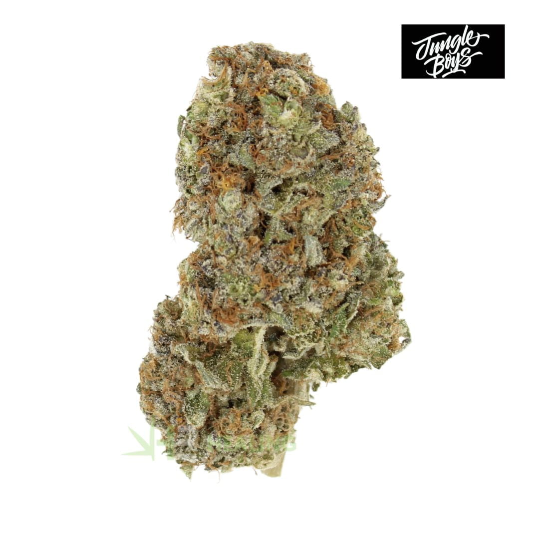 AAA Paris OG By Jungle Boys