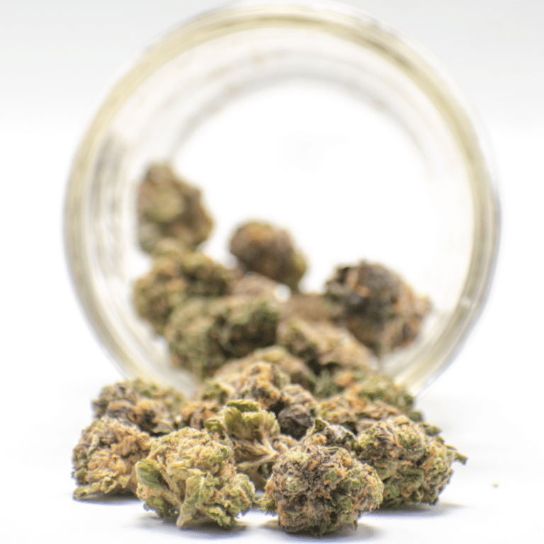 AAA Northern Lights Smalls