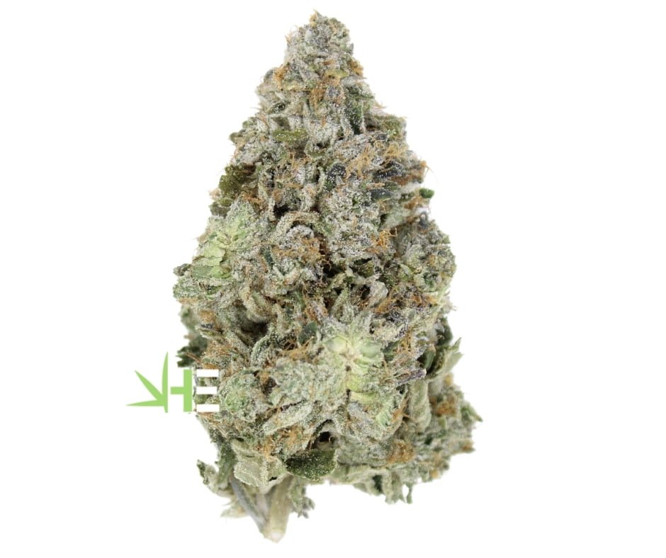 ⛽ AAAA Blue Fin Tuna - By Green Genetics