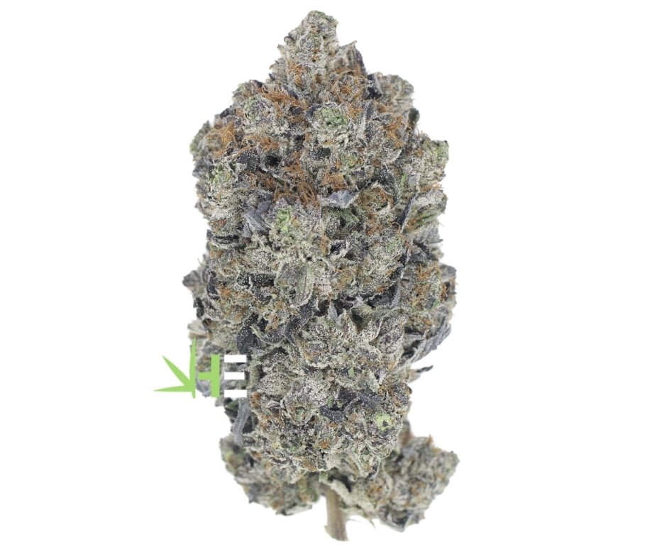 ⛽ AAAA Tom Ford - By Green Genetics