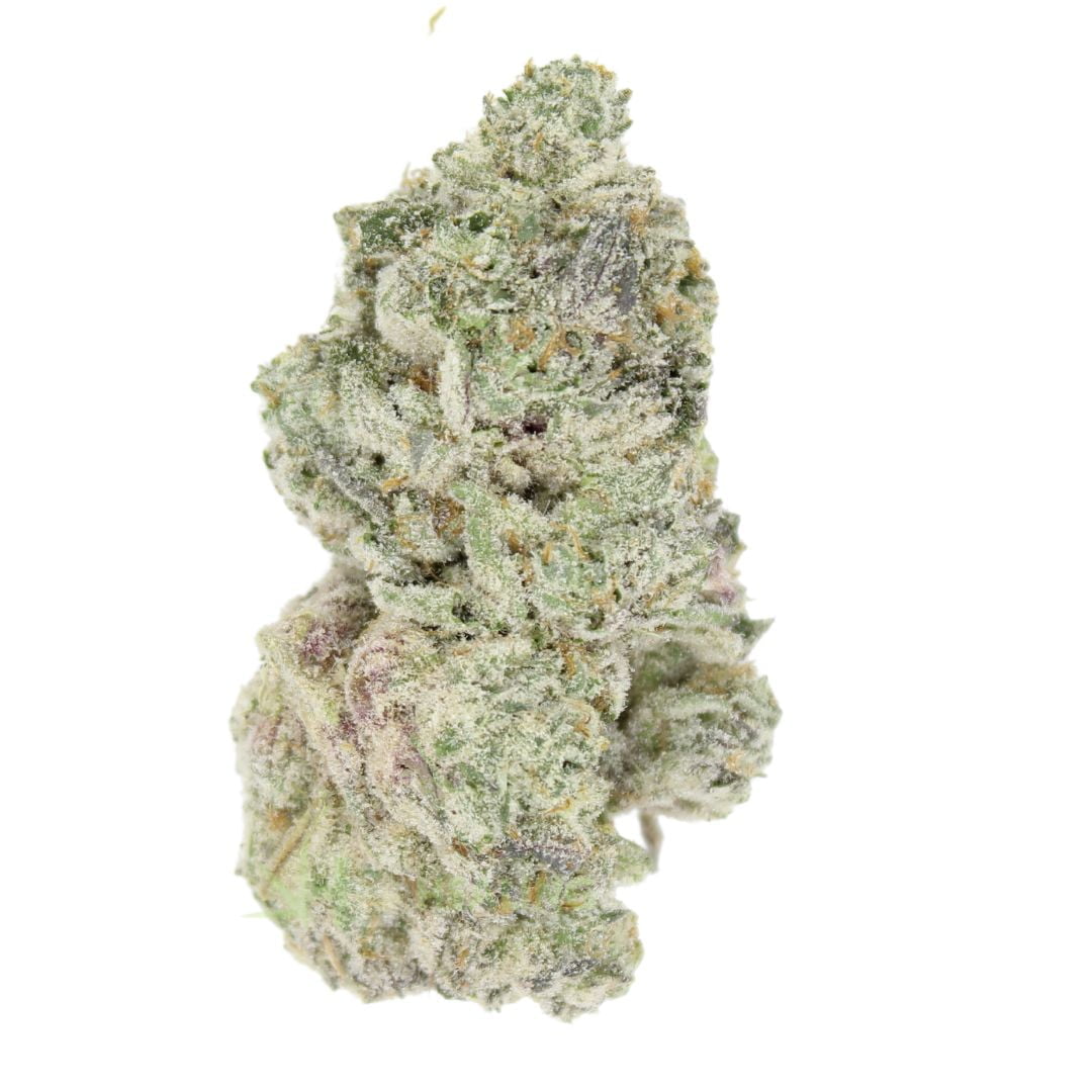 AAAA Super Soaker By KOOTENAY Exotics