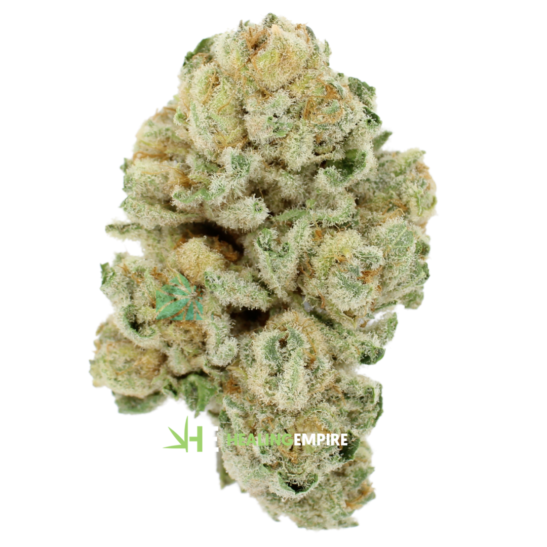 AAAA Silver Surfer By Kootney Exotics