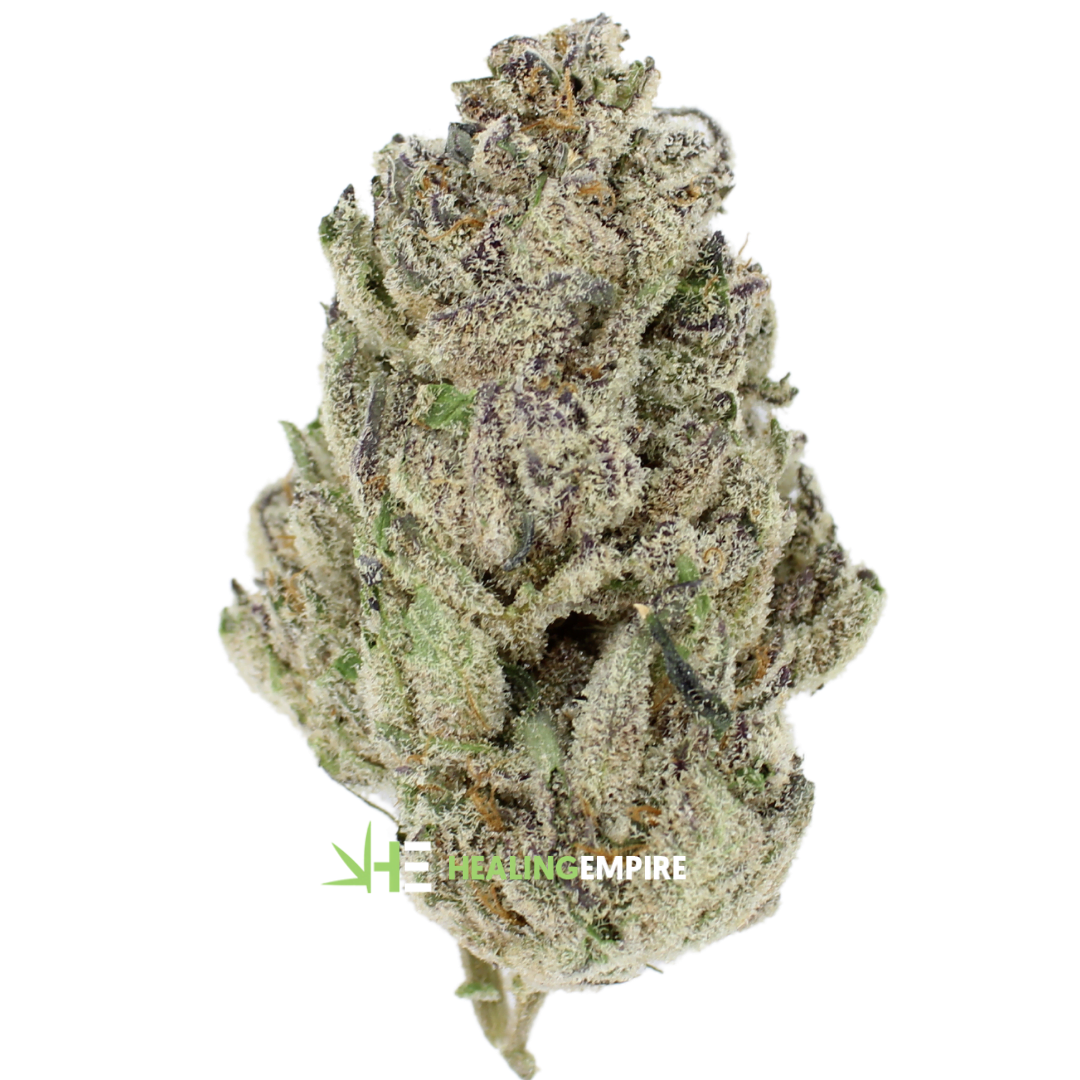 AAAA Apple & Banana Gelato By Kootney Exotics