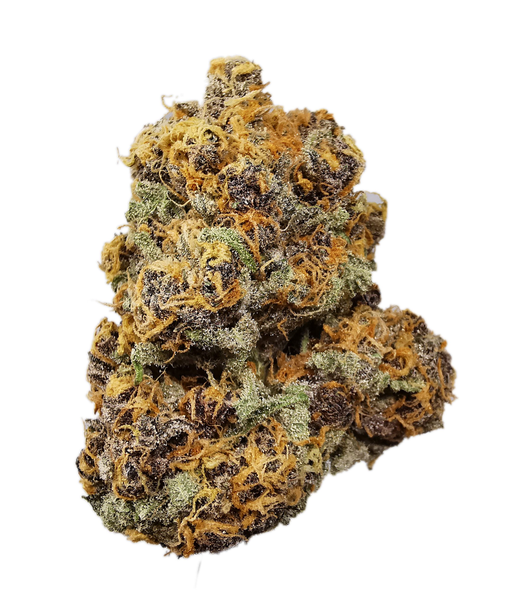 AAAAA Woolly Mammoth