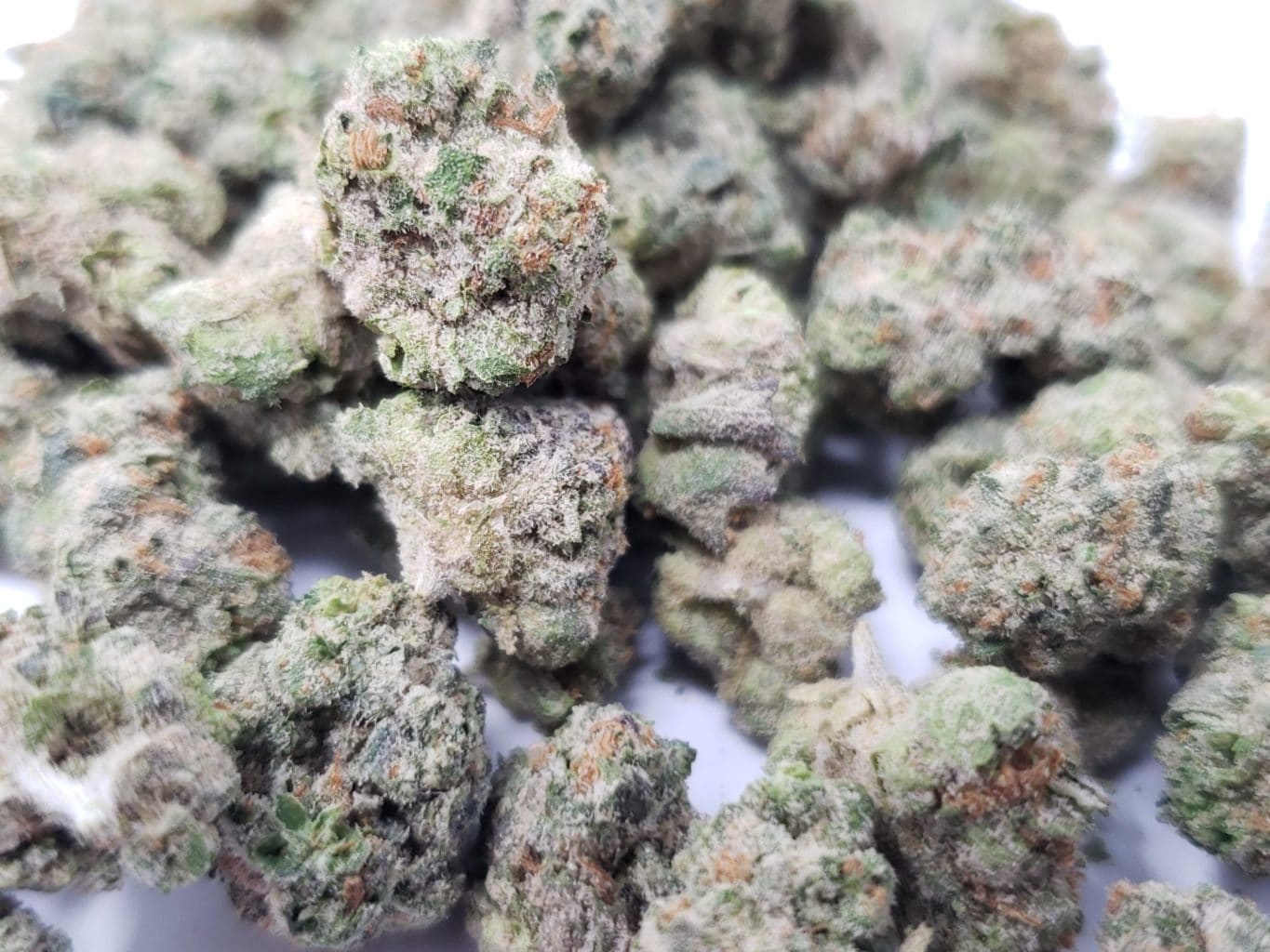 Divine Banana smalls