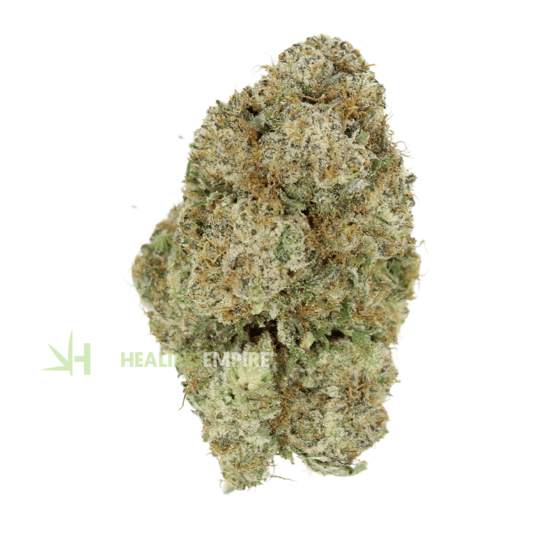 AAAA Grape White Rhino By Kootenay Exotics