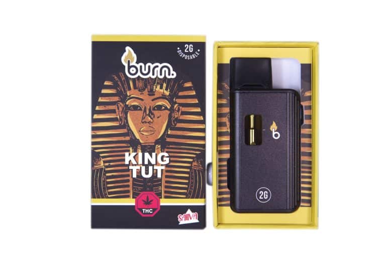 Burn Disposable Vapes – King Tut (Sativa) (2 Gram)