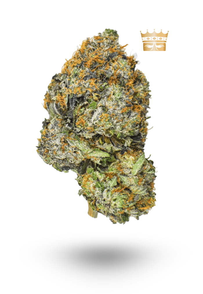 AAAA Lizard by Bubba Kings